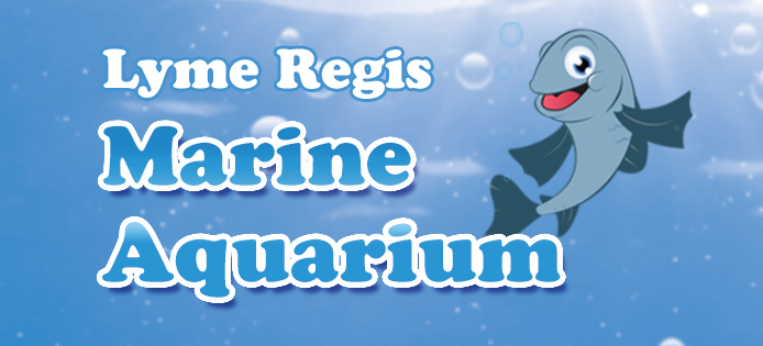The Lyme Regis marine aquarium on the Cobb