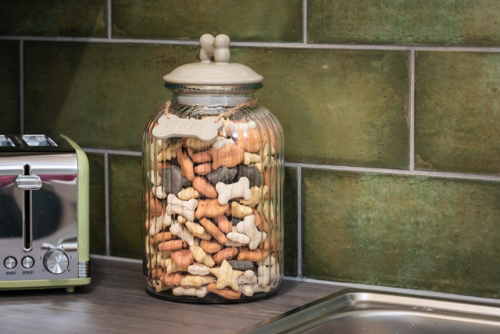 dog biscuit jar for holiday guests with Jurassic Properties