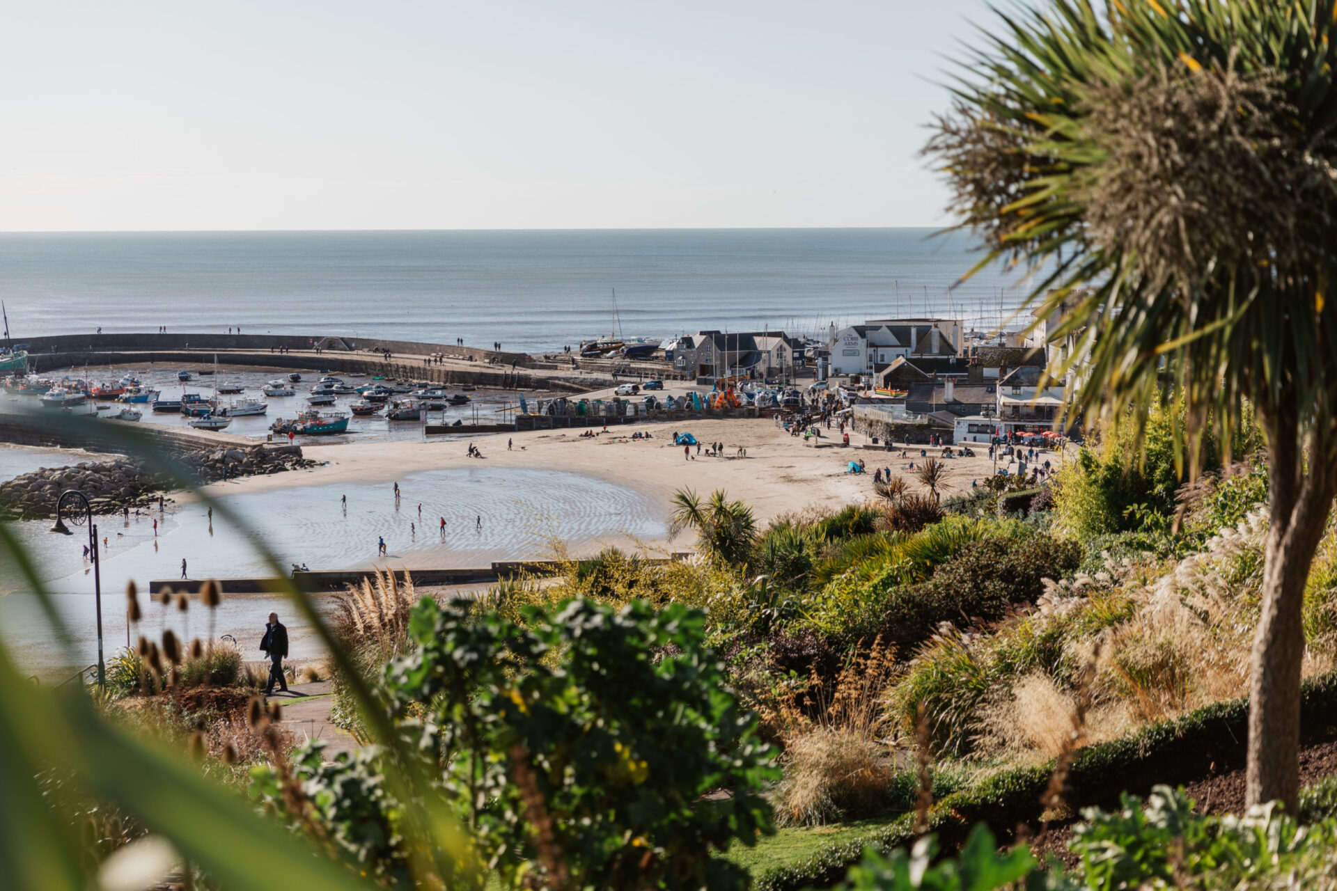 View of Lyme Regis beach from Langmoor Gardens