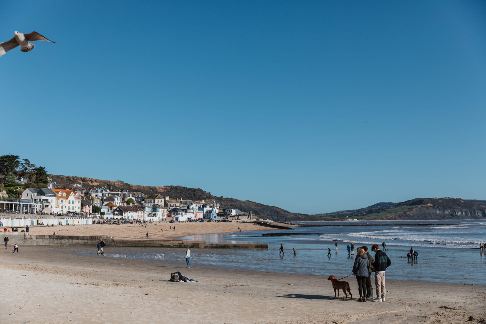 Lyme Regis beach front on the Jurassic Coast