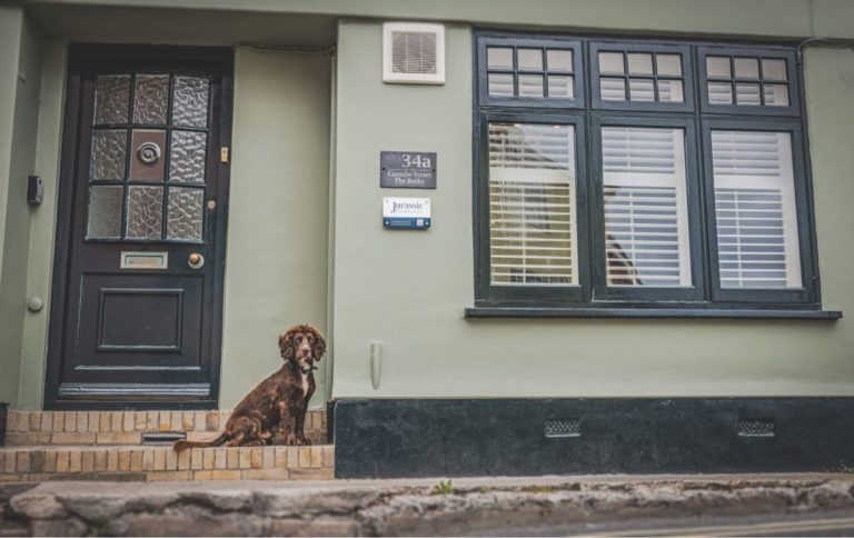 exterior of the bothy dog friendly holiday cottage in lyme regis