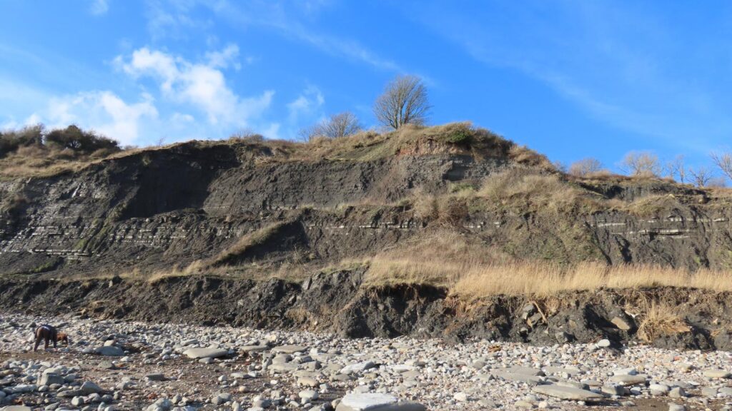 black ven fossil hunters site lyme regis