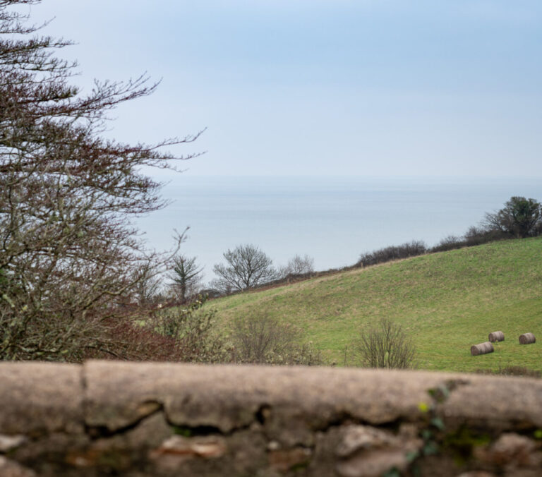 views from holiday cottage out to sea