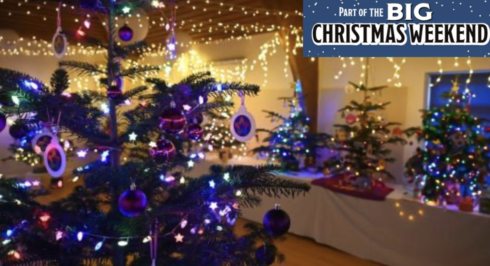 Christmas tree festival Lyme Regis